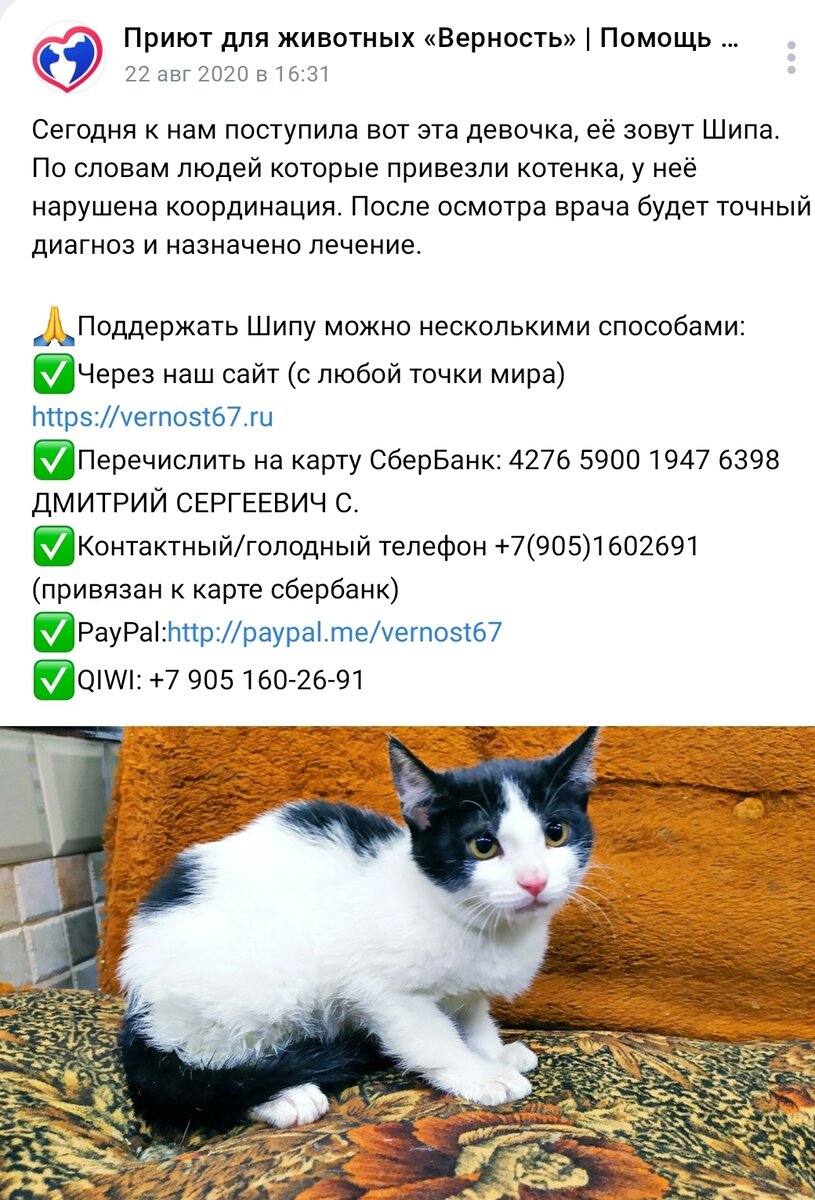 Открытие приюта