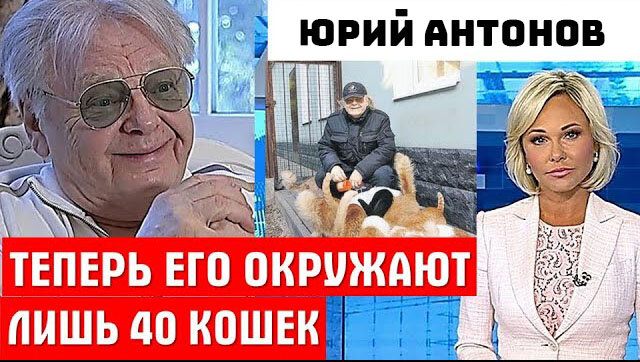 Дети отказались, а семью заменили 40 кошек. Печальная судьба кумира 80 ...