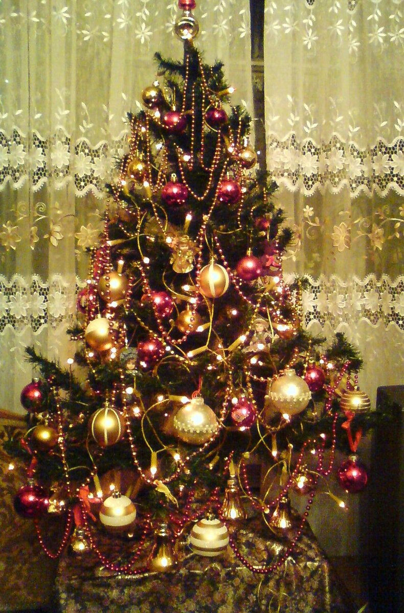 Фото автора.