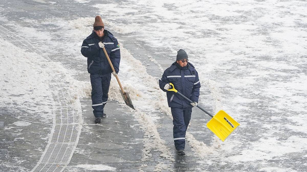    Фото: Пелагия Тихонова / АГН Москва