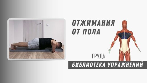 Отжимания для новичков. Отжимания для полных. Отжимания для 40 + Техника выполнения. Упражнение для развития мышц груди и трицепса.