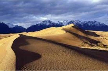 Пески по которым бродят северные олени.