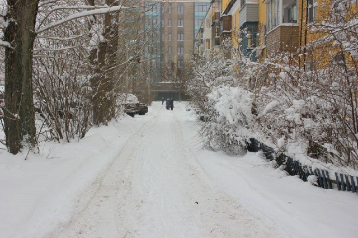    В Туле 22 декабря прогнозируют снег с дождем и до +2