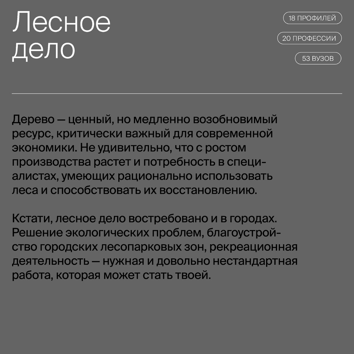 Лесное дело - специальность 35.03.01 | Поступление и наказание | Дзен