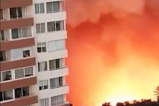    В Чили более 500 домов сгорели в результате лесного пожара