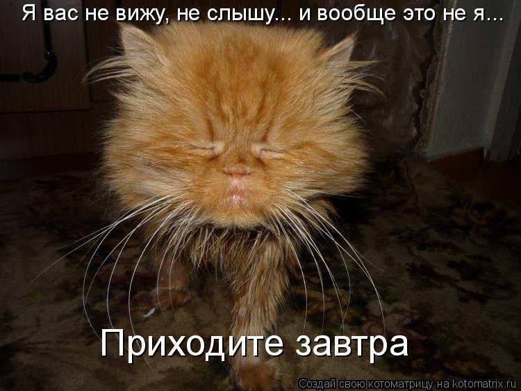 Не слышно спать не