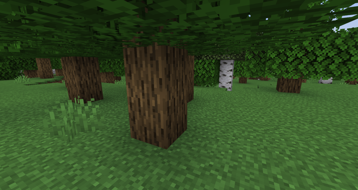 Как сделать портал в Сумеречный лес в Minecraft.