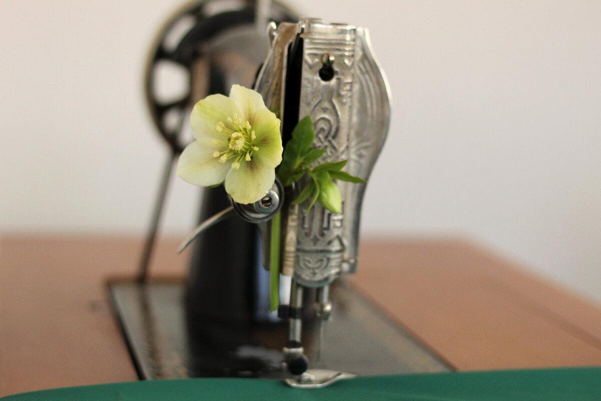 Фото из проекта "Весна в моей мастерской"