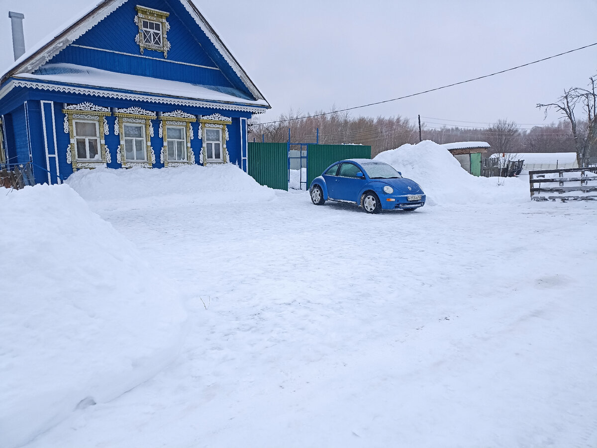 На фото в сугробе около жука прячется копейка) 