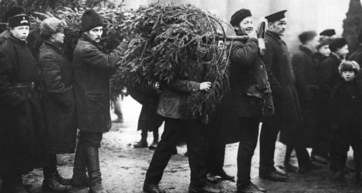 Торговля елками в дореволюционном Петербурге, фото начала 1900-х