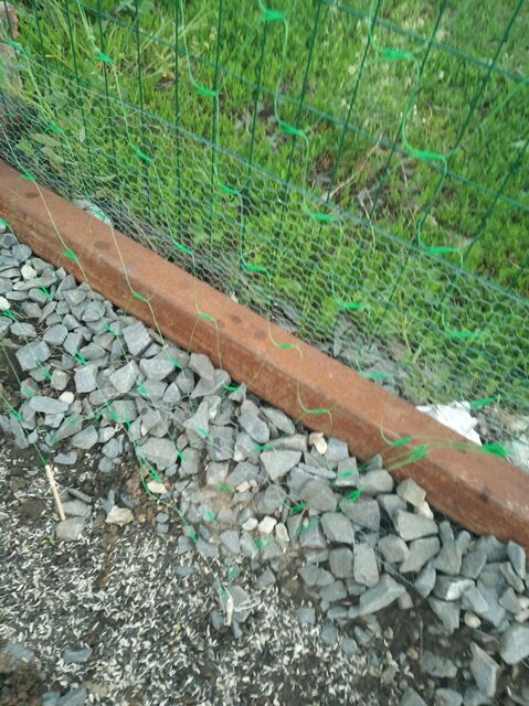 Фото: РОмана Образцова.Вместо колышек - палочки от суши-ролов.