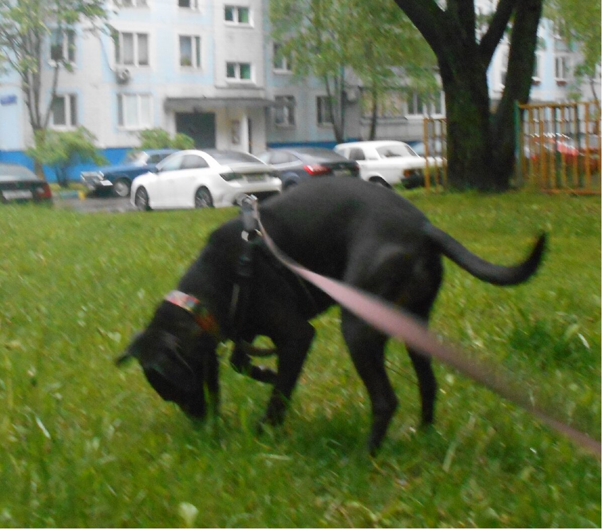 А что там у нас в траве?