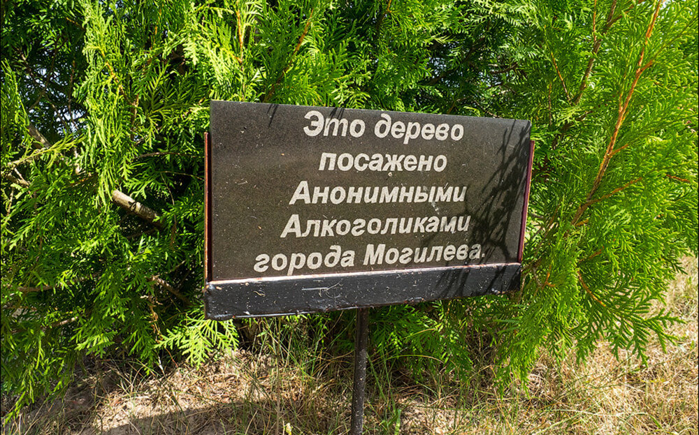 Памятная табличка для дерева. Именное дерево табличка. Табличка около дерева. Табличка на дерево посаженное.