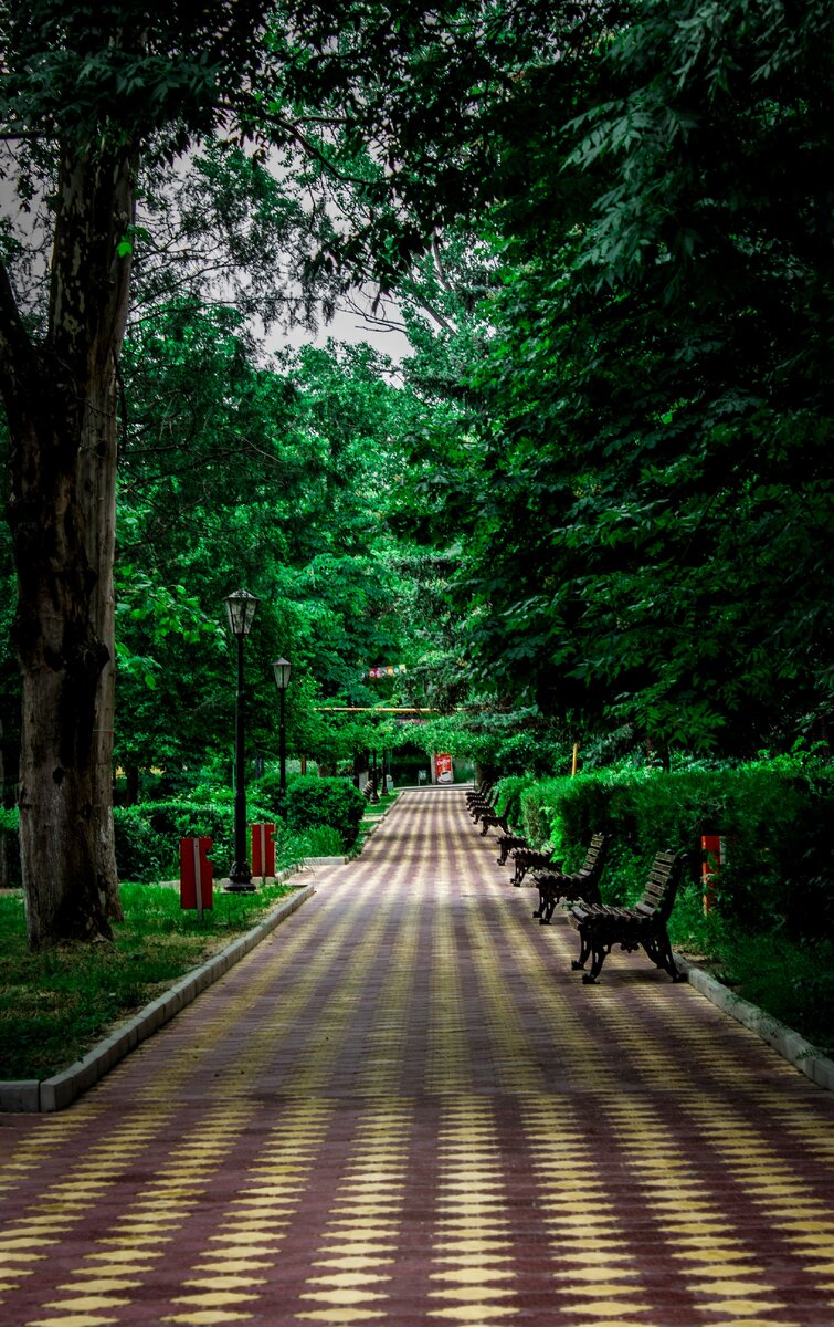 Красивый парк