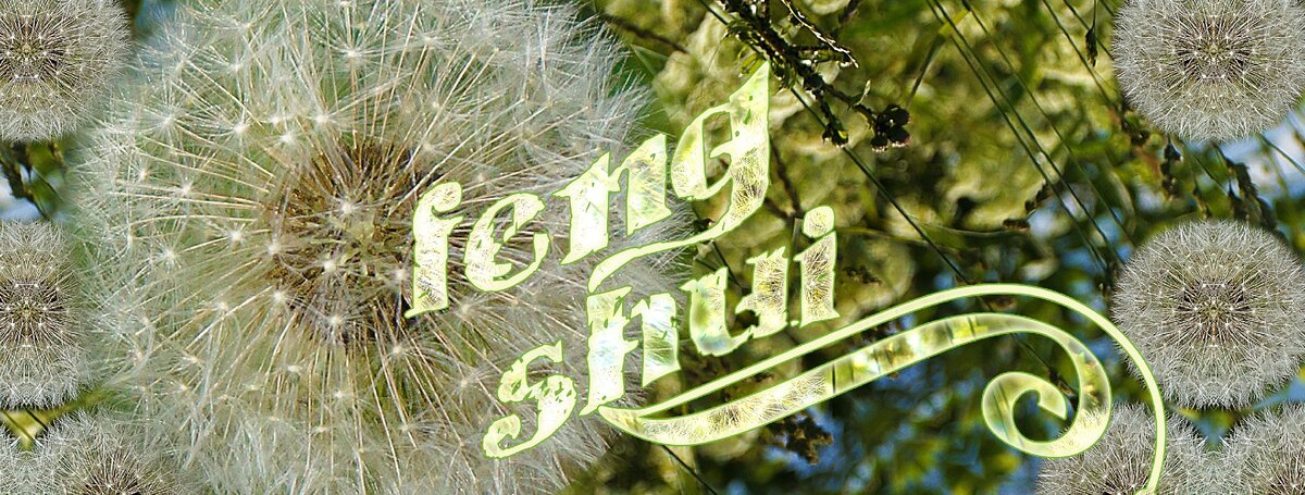 feng shui JUNE, instagram el.samael