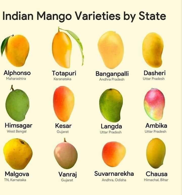 сколько сортов манго существует в мире