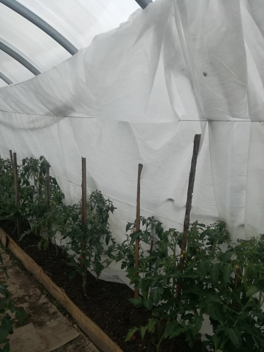 Вот так получилось у меня в прошлом году. В этом только собираюсь это сделать.