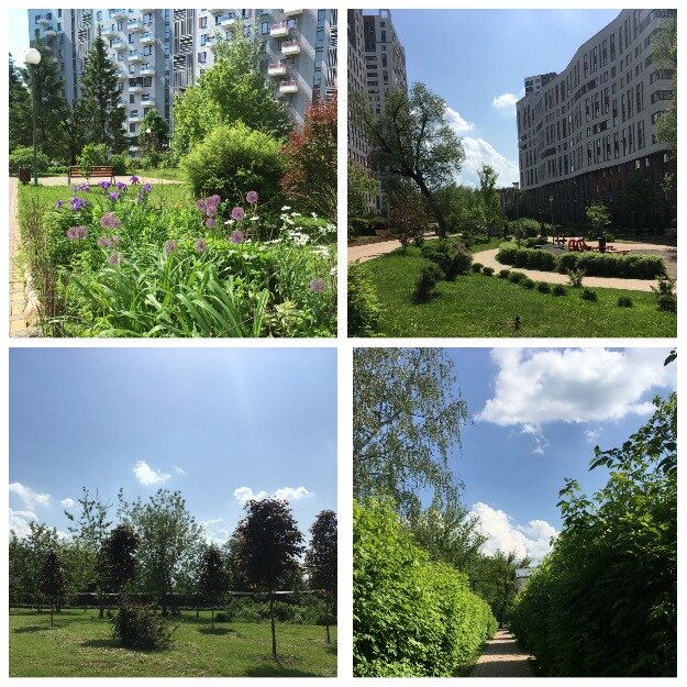 наконец то тепло