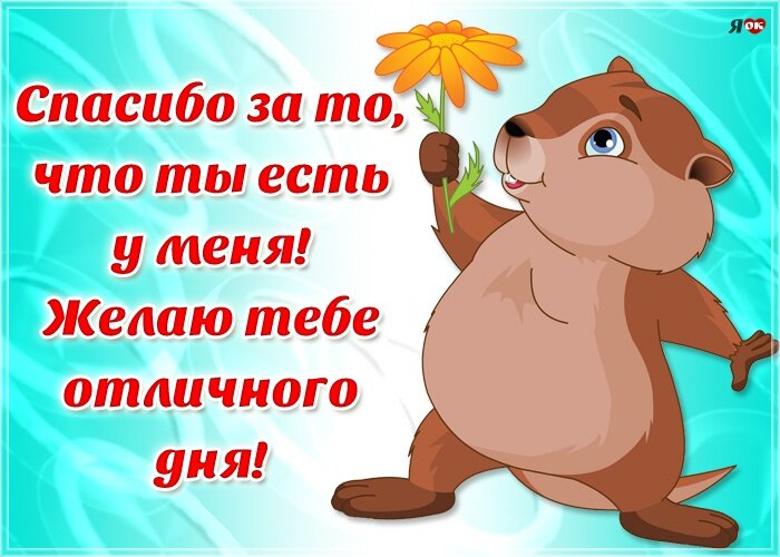 Красивые картинки и открытки