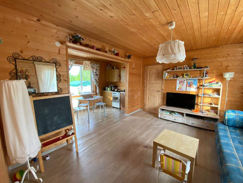 Гостиная с кухней