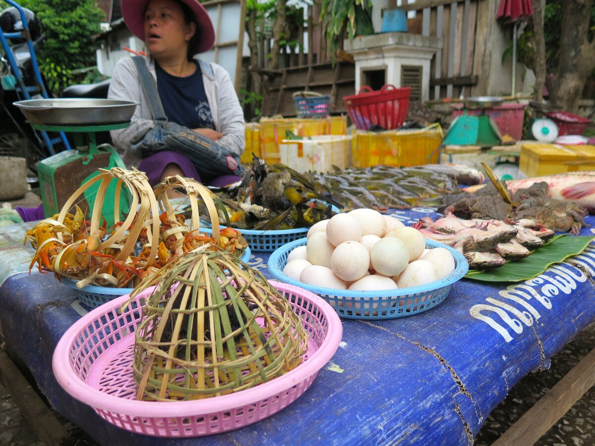 вкусняшки на рынке в Лаосе
