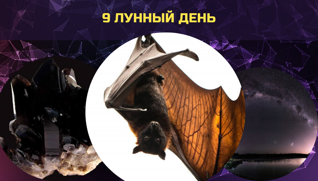 9 лунный день картинка