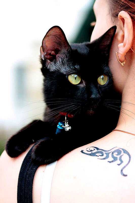 Изображения с сайта Яндекс картинки