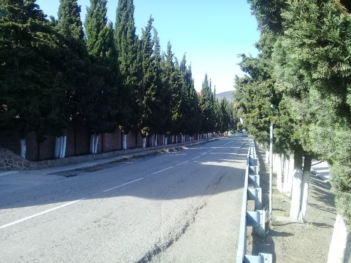 Едем по южному берегу Крыма.