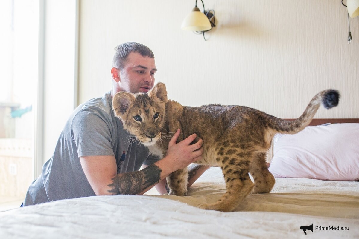 Источник - Яндекс. Картинки.