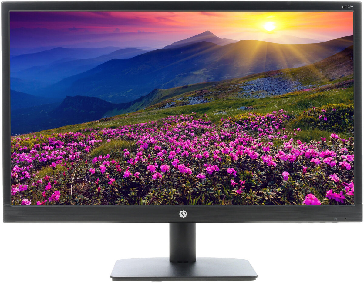 HP 22y