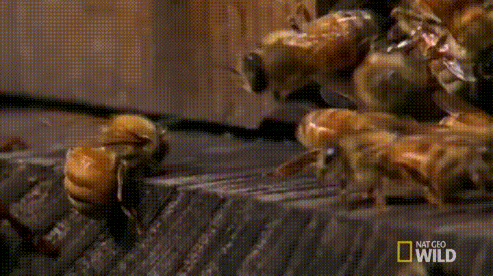 -7