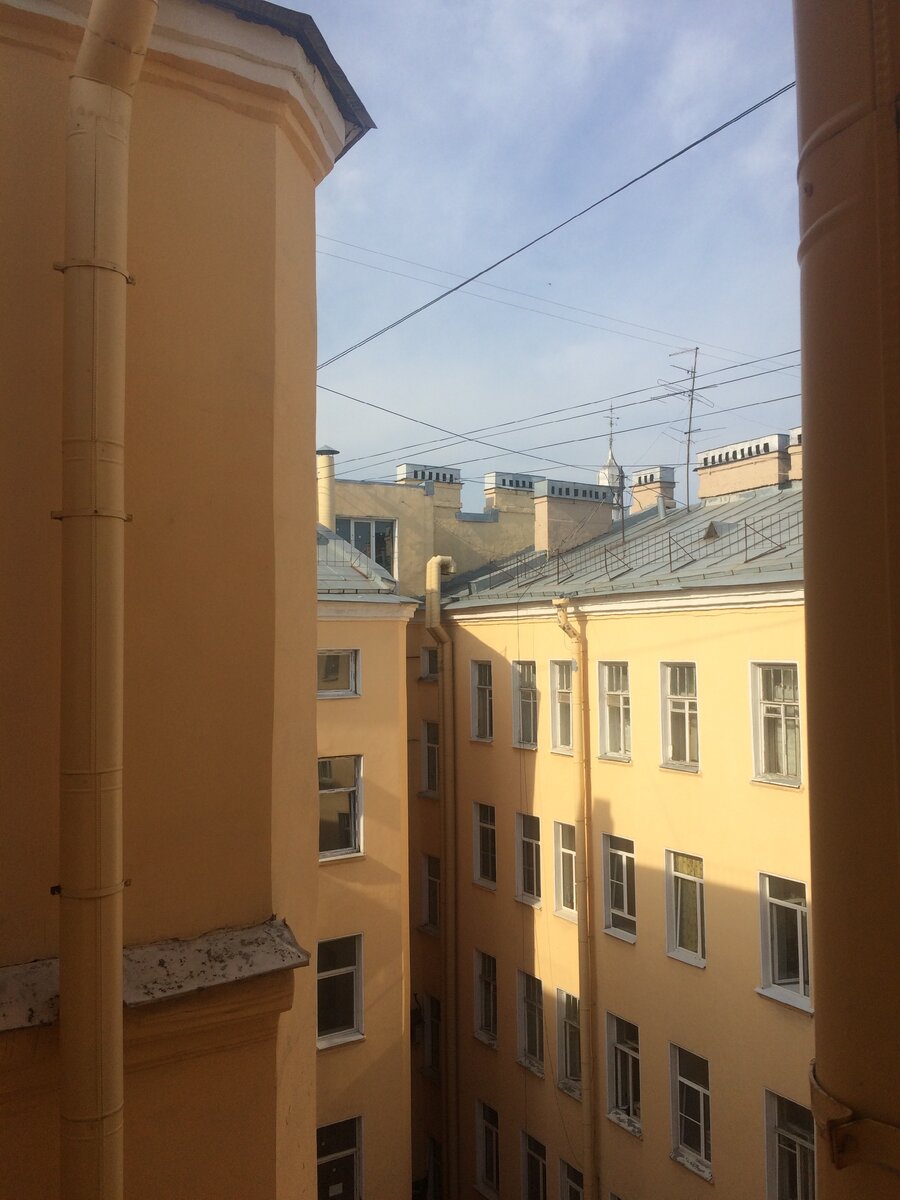 мой вид из окна 