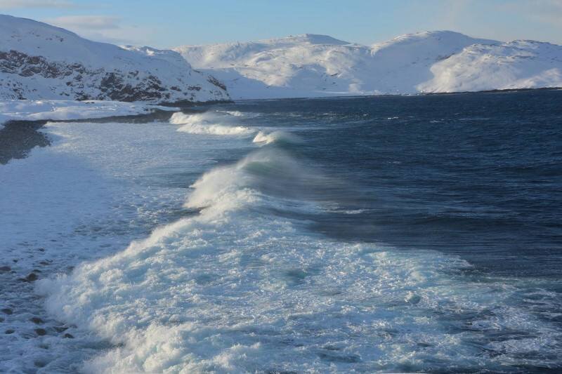 Фото: pixabay.com