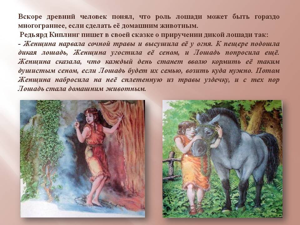Уроки приручения часть 2. Приручение лошади древним человеком. Когда человек одомашнил лошадь. Роль лошади в древности. Как человек приручил лошадь.