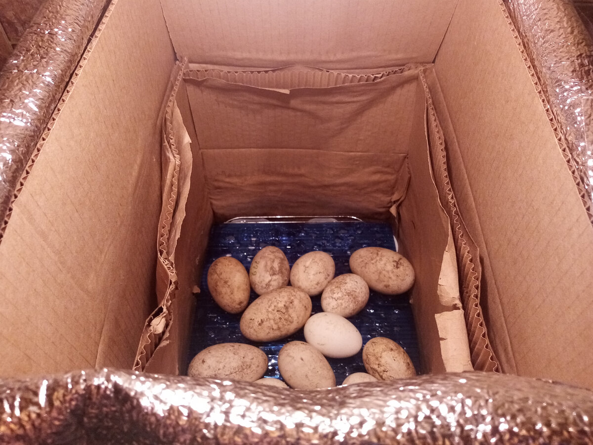 Фото из личного архива.