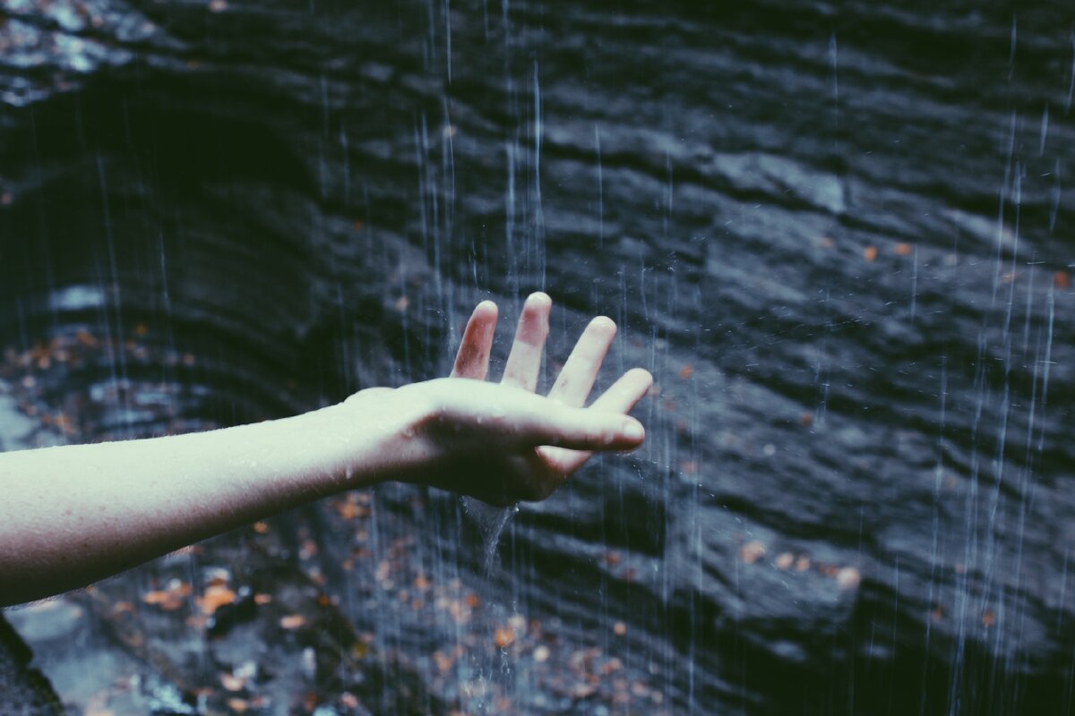 фото из интернета