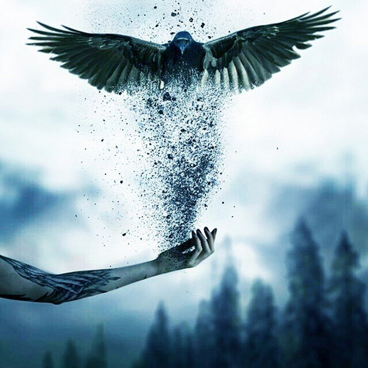 Стих "Душа как птица".