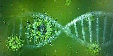 Глава Национального института аллергических и инфекционных заболеваний США Энтони Фаучи считает, что появление второй волны коронавируса можно предотвратить. По его словам, новая атака вирусной инфекции не является неизбежным исходом событий. 
Фаучи пояснил, что для снижения риска второй волны следует придерживаться простых мер безопасности. Так, необходимо предотвратить массовые скопления людей и использовать средства индивидуальной защиты, такие как маски и перчатки.

Инфекционист также отметил, что говорить о начале второй волны COVID-19 в США рано несмотря на скачок числа заражений в ряде штатов. Эксперт рекомендовал жителям страны соблюдать все требования безопасности.

Ранее глава ВОЗ Тедрос Адханом Гебрейесус заявил, что 18 июня было зафиксировано рекордно большое количество новых случаев заражения коронавирусом. В связи с этим Гебрейесус констатировал, что пандемия вошла в новую, опасную фазу и вирус начал очень быстро распространяться. Он предостерег государства от преждевременного ослабления карантинных ограничений.