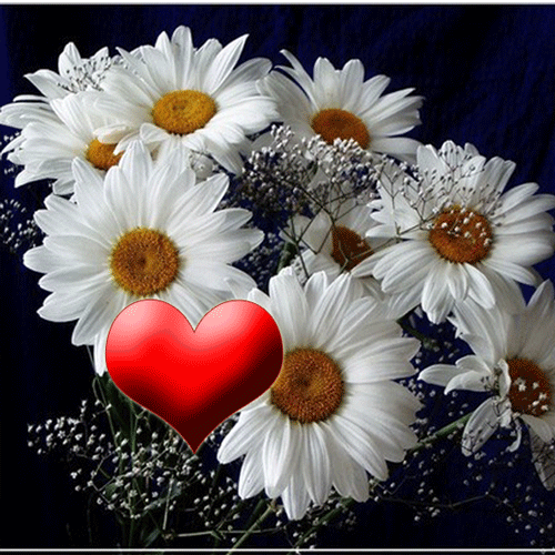 Спасибо за то, что дочитали до конца