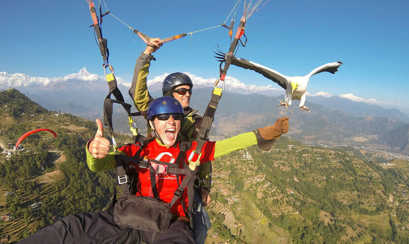 1 из 7 Увлекательные хобби и впечатления мечты!