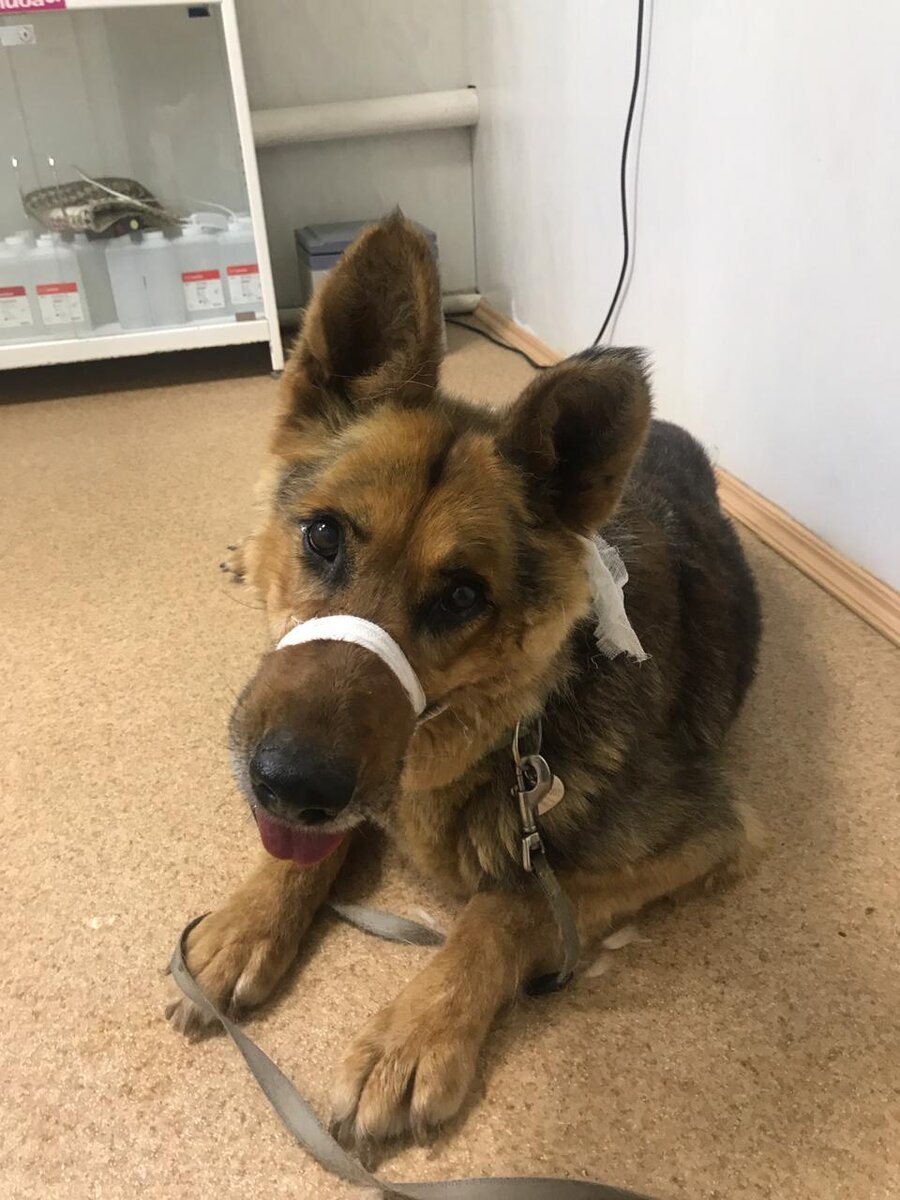 Джесси в клинике