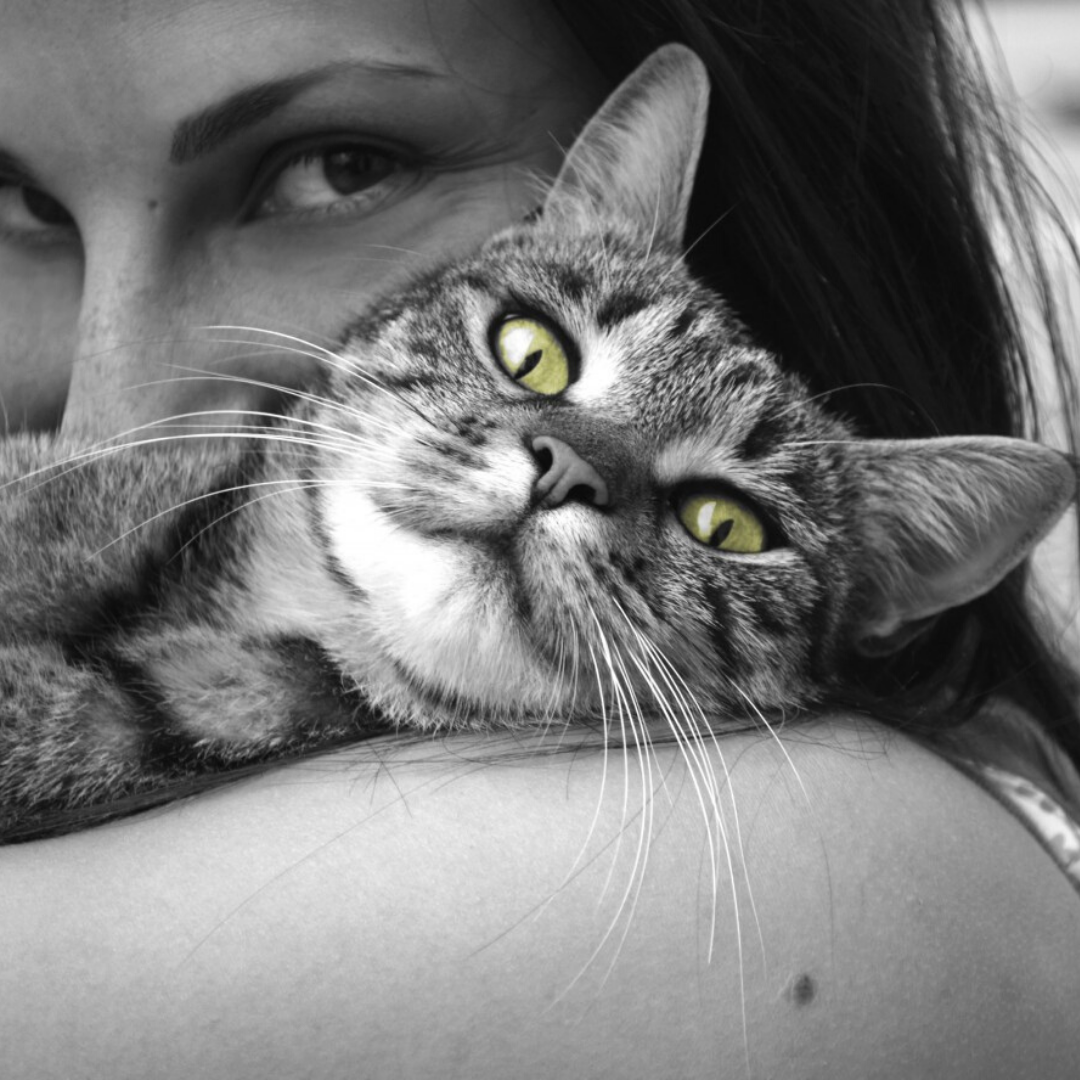 Она всегда была кошкой. Девушка кошка. Кот. Фотосессия с котом. Чёрно белая девушка с белым котом.