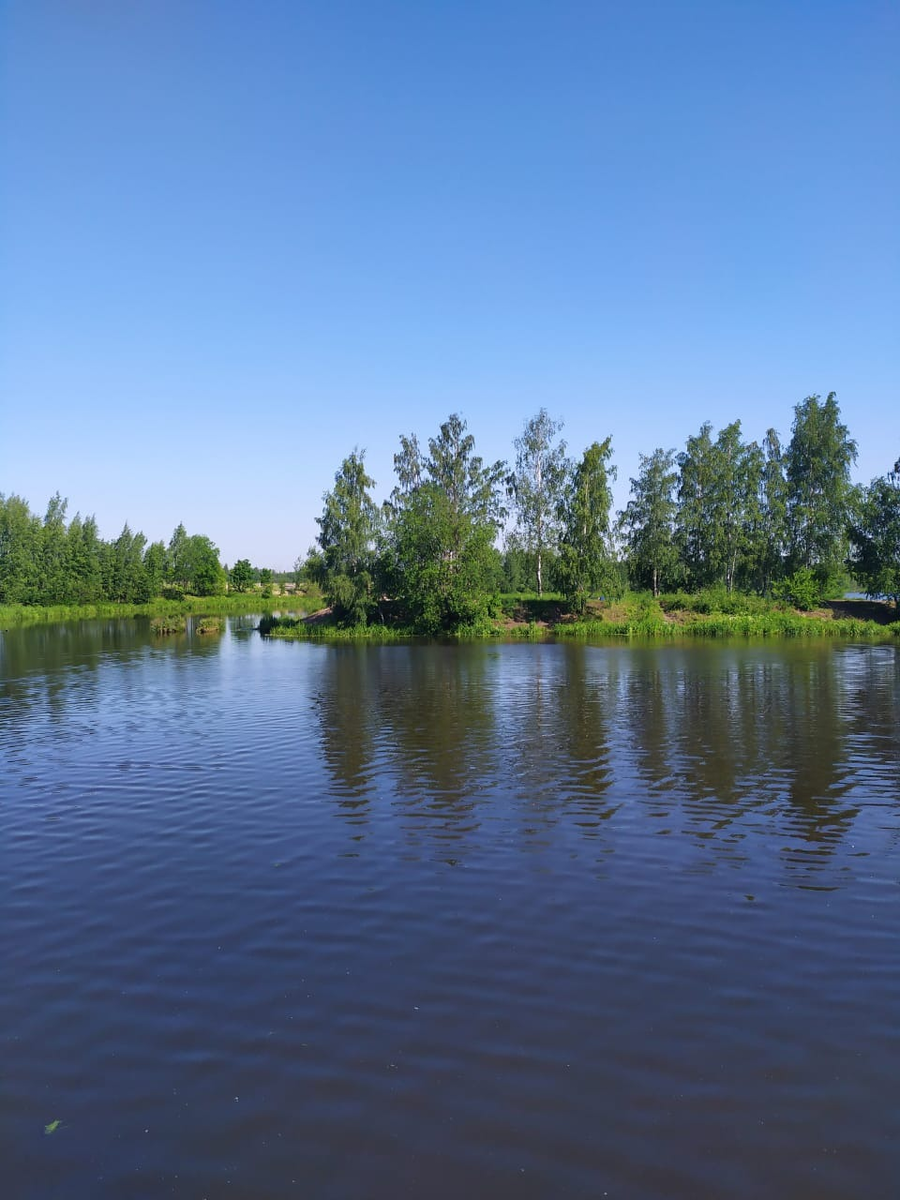 Река охта санкт петербург. Река Охта в Мурино. Река Охта Санкт-Петербург Исток.