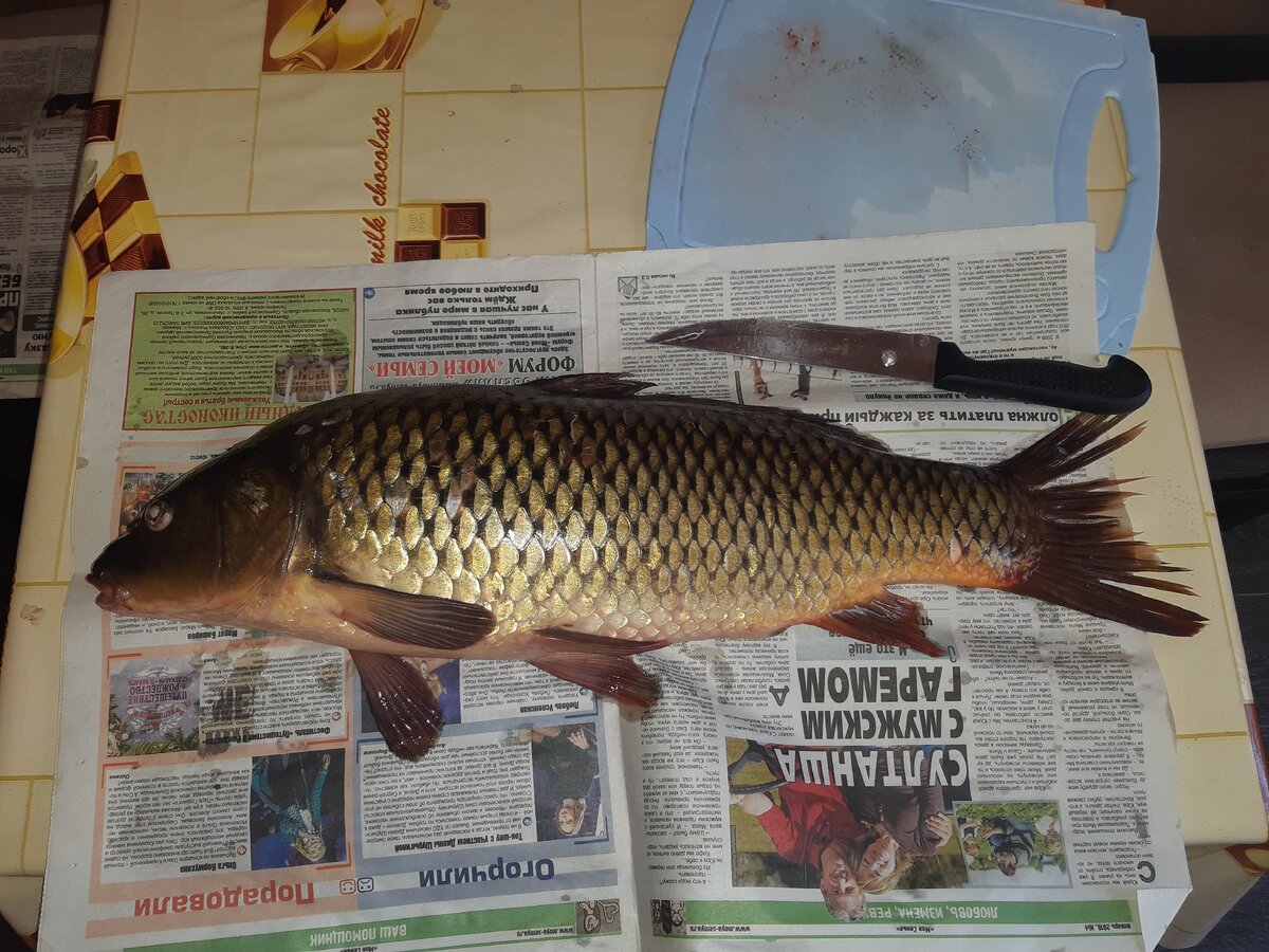 Его величество