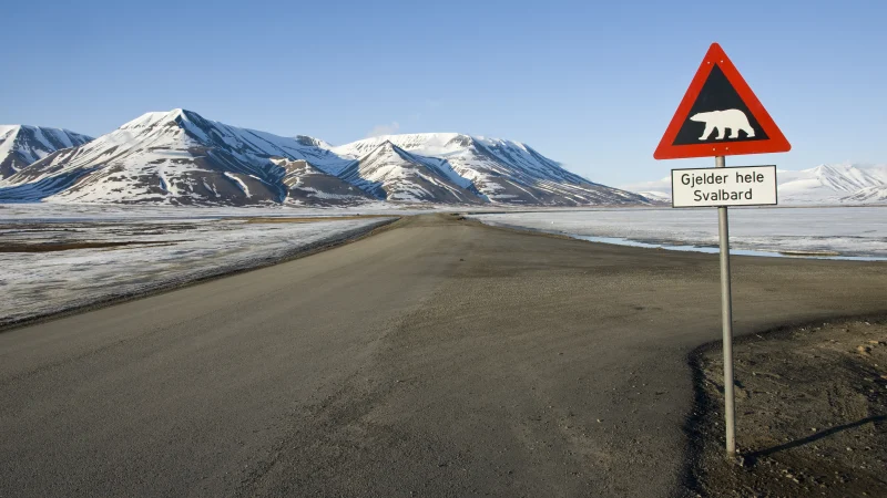 Почти все субпопуляции белых медведей были бы уничтожены, потому что потеря морского льда вынудила бы животных покинуть свои запасы пищи на более длительные периоды.