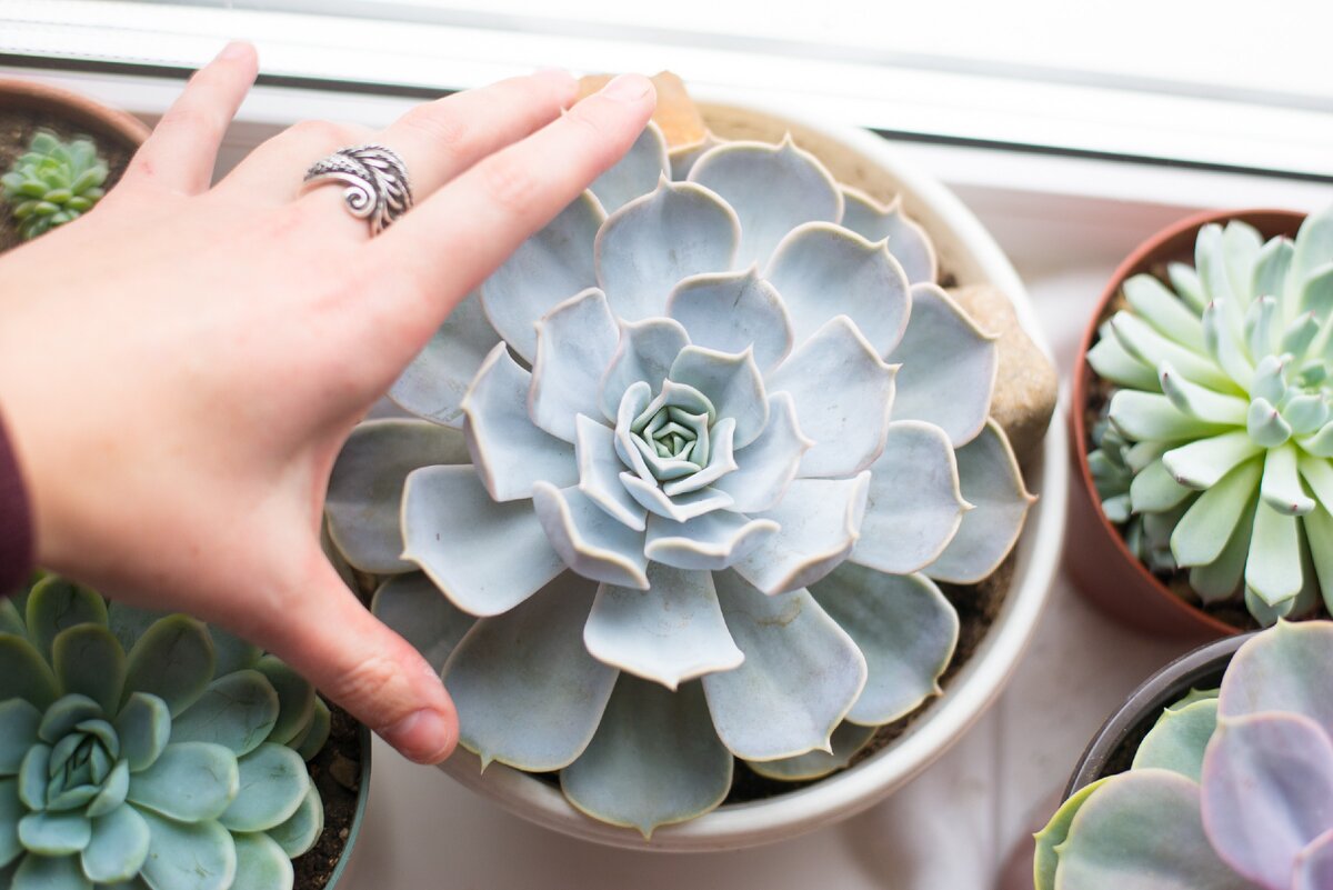 И это еще не предел по размеру!