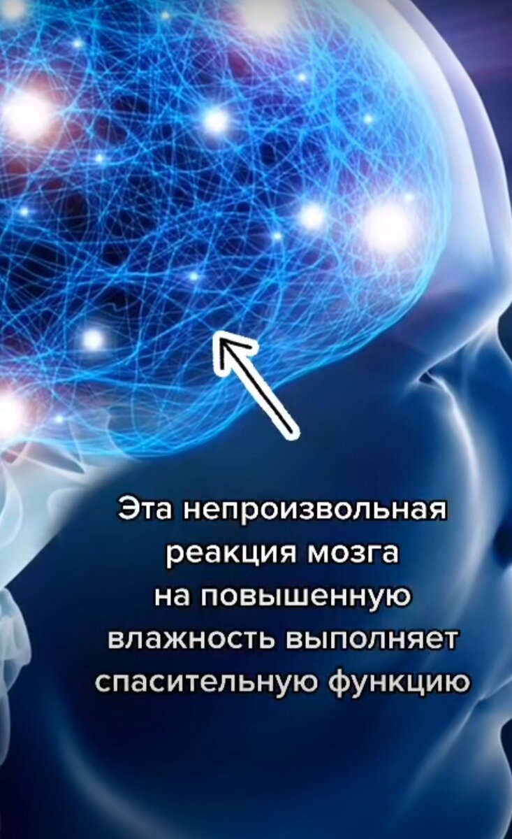 Ответы forpost-audit.ru: А почему когда в воде подержишь пальцы потом на коньчиках кожа сморщенная?