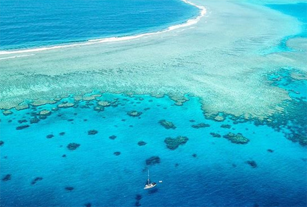 Рифы МинерваФото: @aaron_shanks1/4