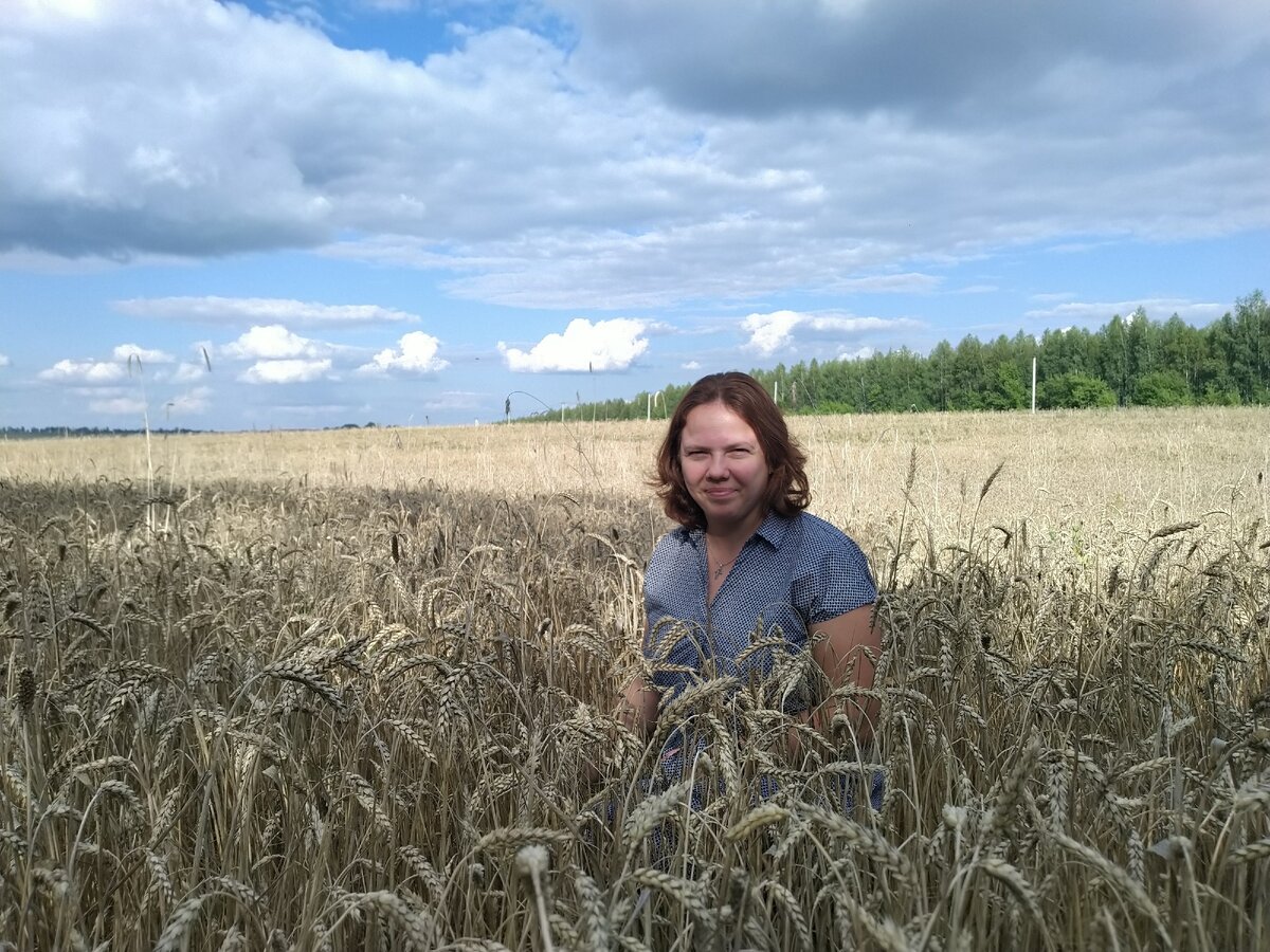 Поле ячменя от горизонта до горизонта