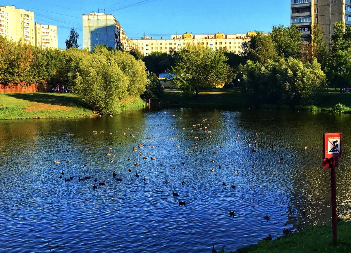 Деревня бибирево фото
